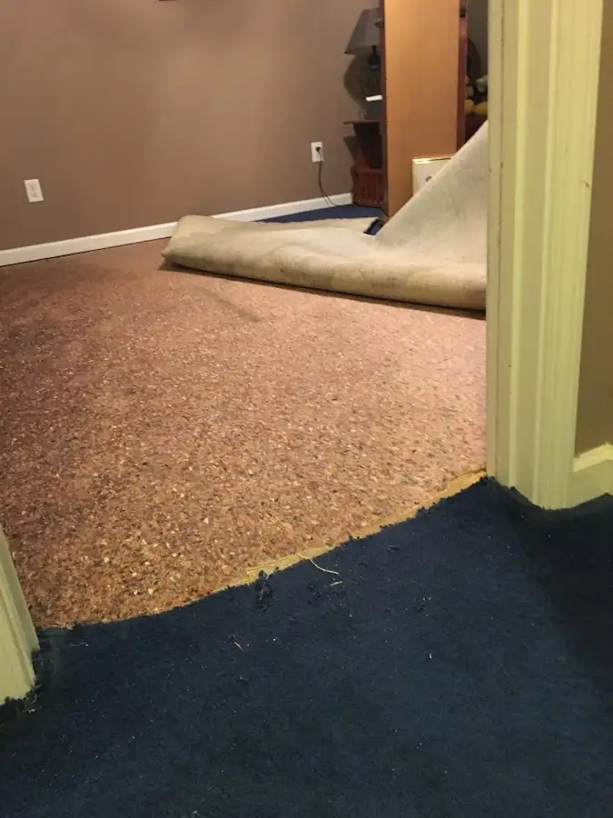 Carpet pad removal revealing water damage during Drying & Dehumidification in Wixom